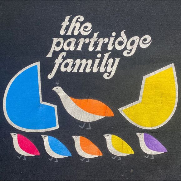 Vintage 90’s Fruit of the Loom The Partridge Family Tee - Size Large - Picture 2 of 8